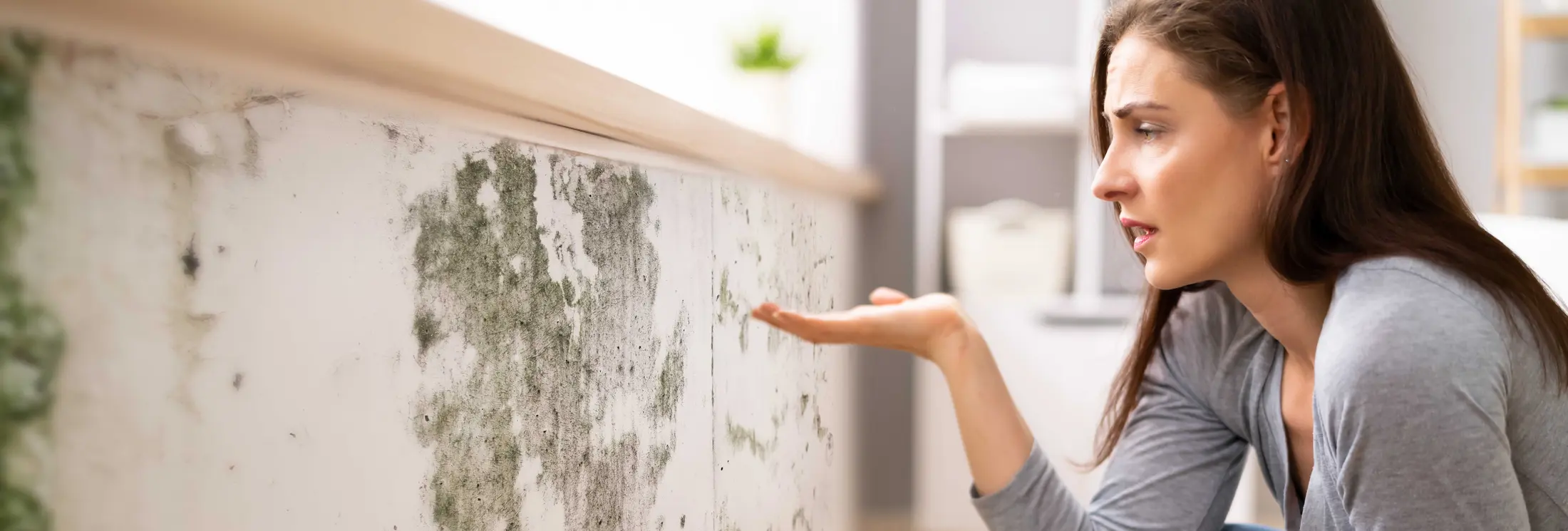 Fallrohrsanierung Würzburg Fallrohrsanierung Würzburg